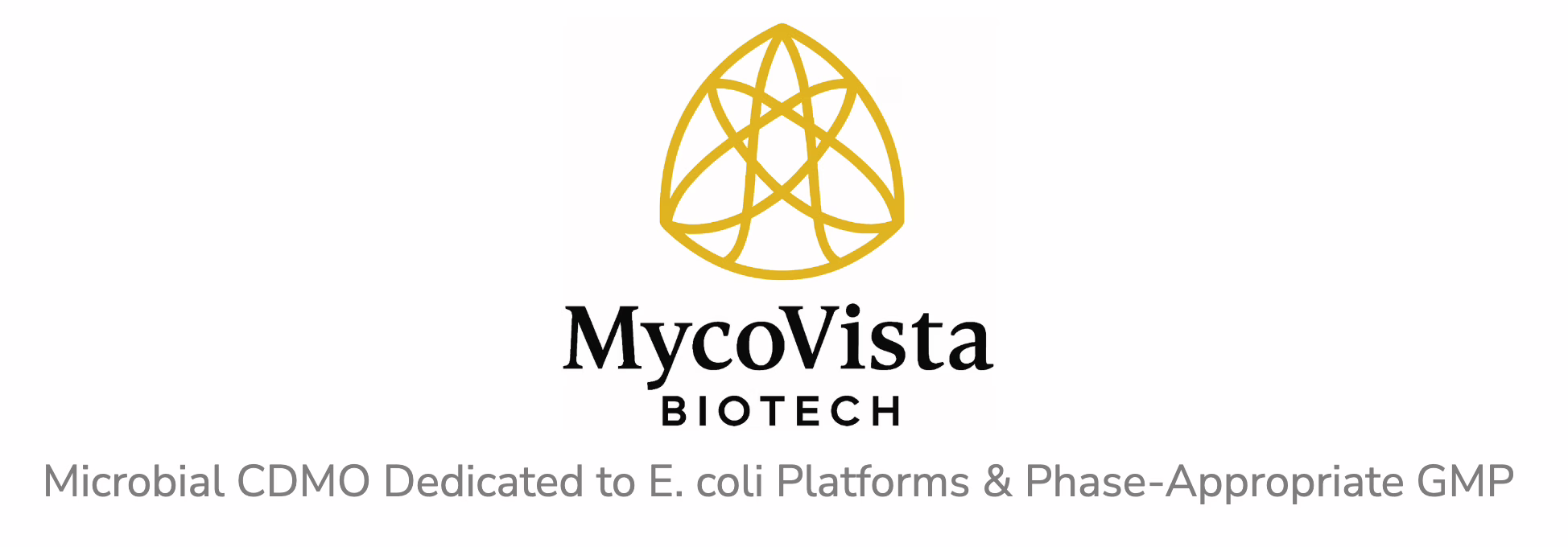 Unveiling the Power of Memory Pills: Revolutionizing Dementia Care