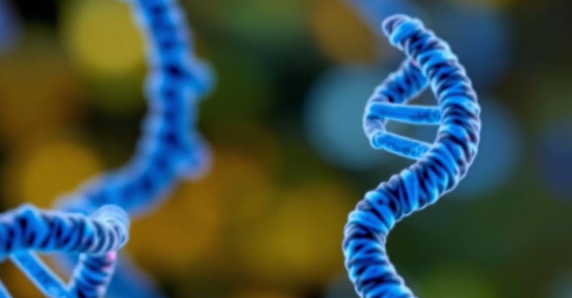 Advancing Gene Therapy with Bio-Inspired Innovations