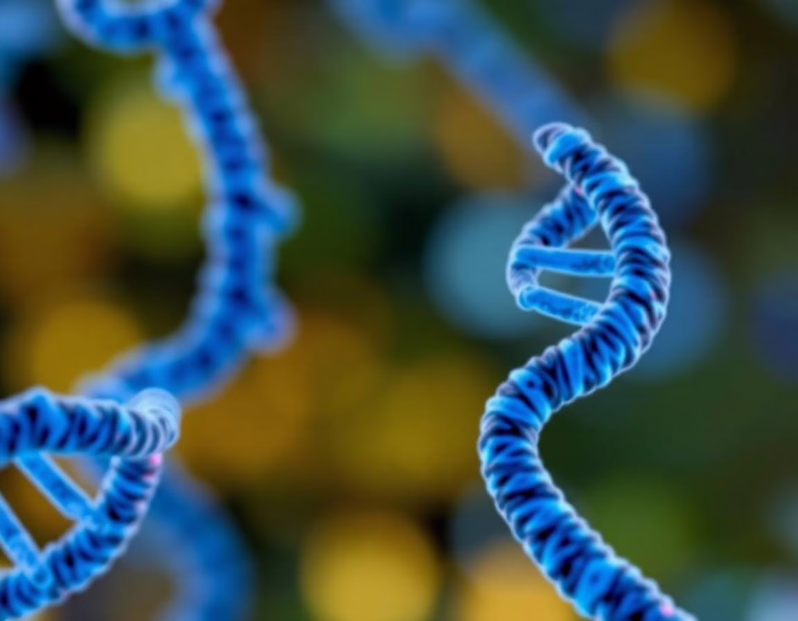 Advancing Gene Therapy with Bio-Inspired Innovations