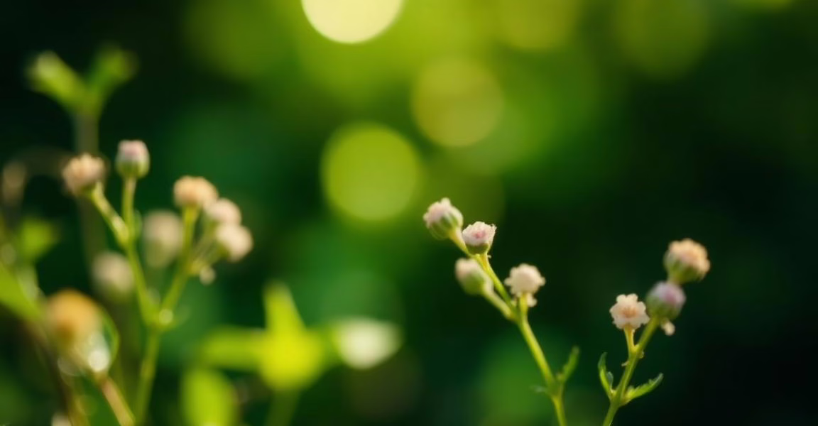 Hope on the Horizon: A Breakthrough in Cancer Vaccine Trials