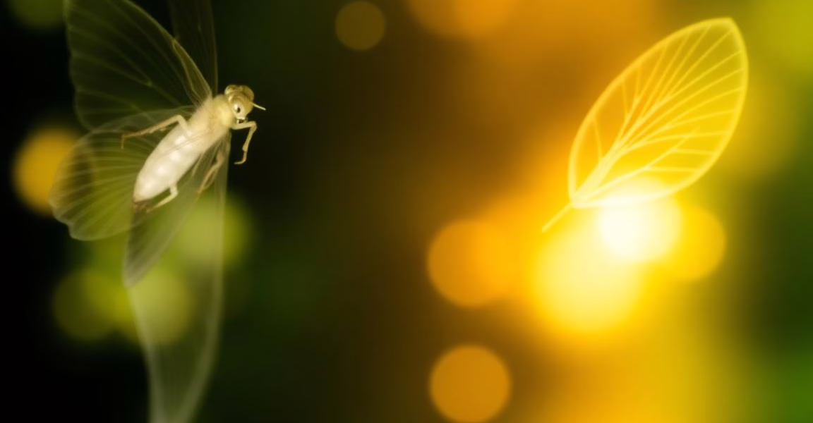 Highlights from the Leading PharmTech Videos of 2025