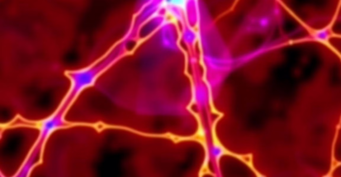 Advancements in CD19 CAR T-Cell Therapy for Richter Transformation