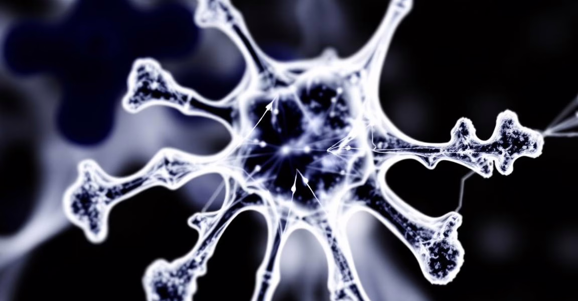 Advancements and Challenges of CAR T-Cell Therapy in Small Cell Lung Cancer