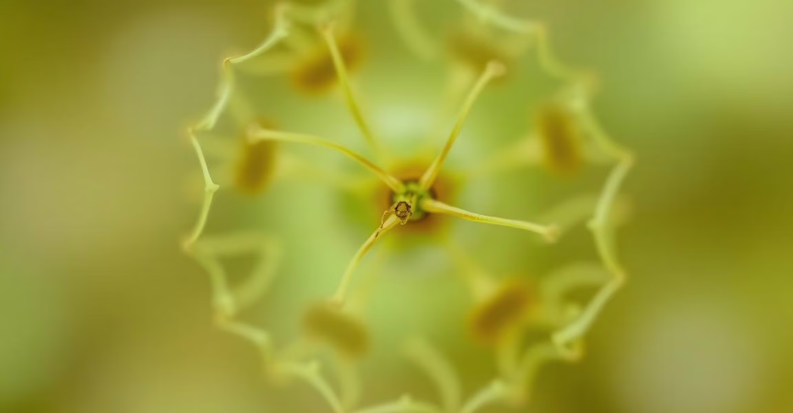 The Impact of Rare Diseases: Personal Stories of Hope and Resilience