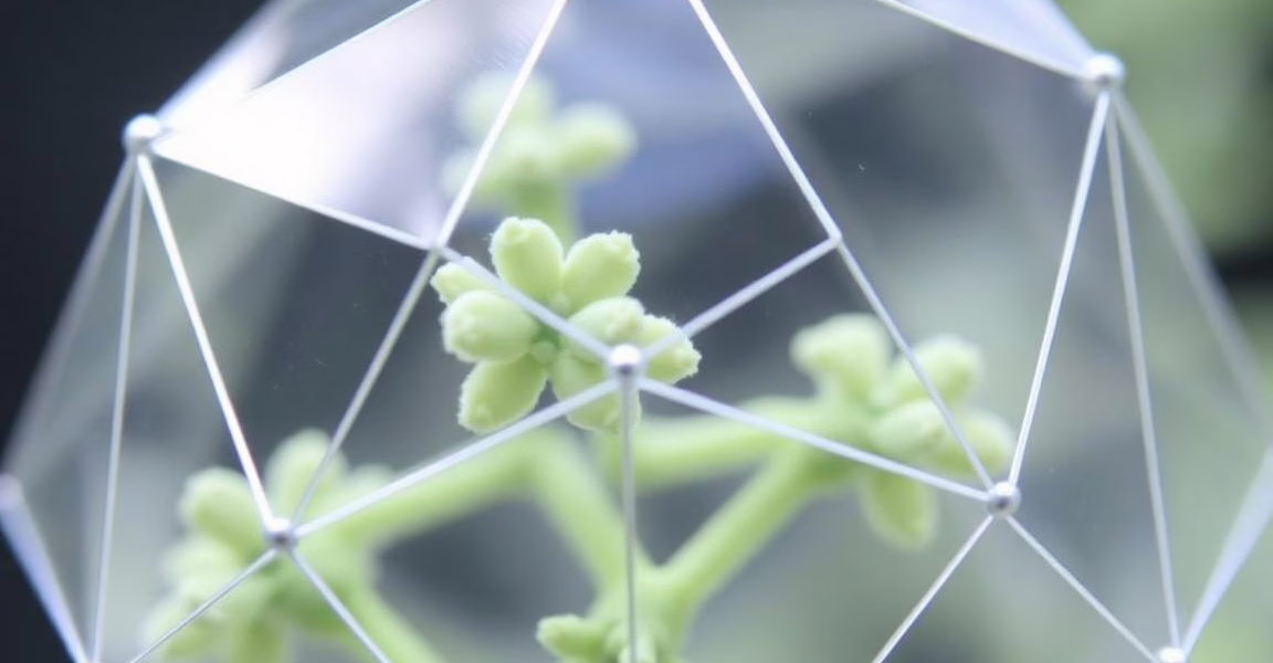 Challenges Faced by Lab-Grown Seafood Ventures in Singapore