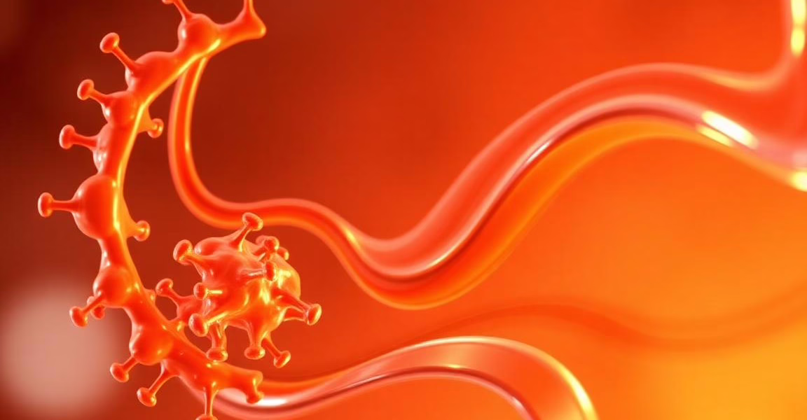 Hansa Biopharma Advances Towards FDA Decision on Imlifidase for Kidney Transplantation