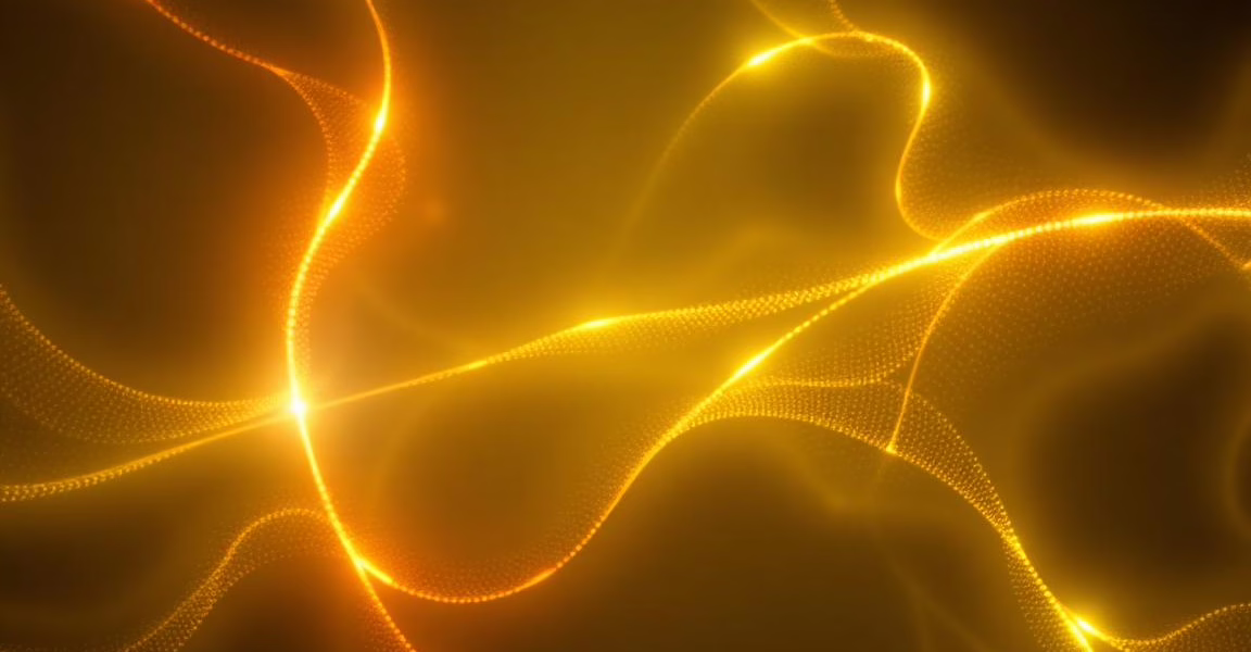 Unraveling the Secrets of Gamete Rejuvenation: Insights from Meiotic Differentiation