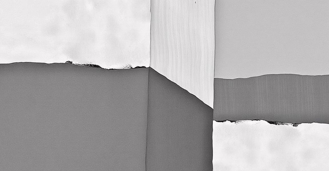 Celebrating Stories of Resilience: WPC 2026 Short Film Competition Finalists Announced