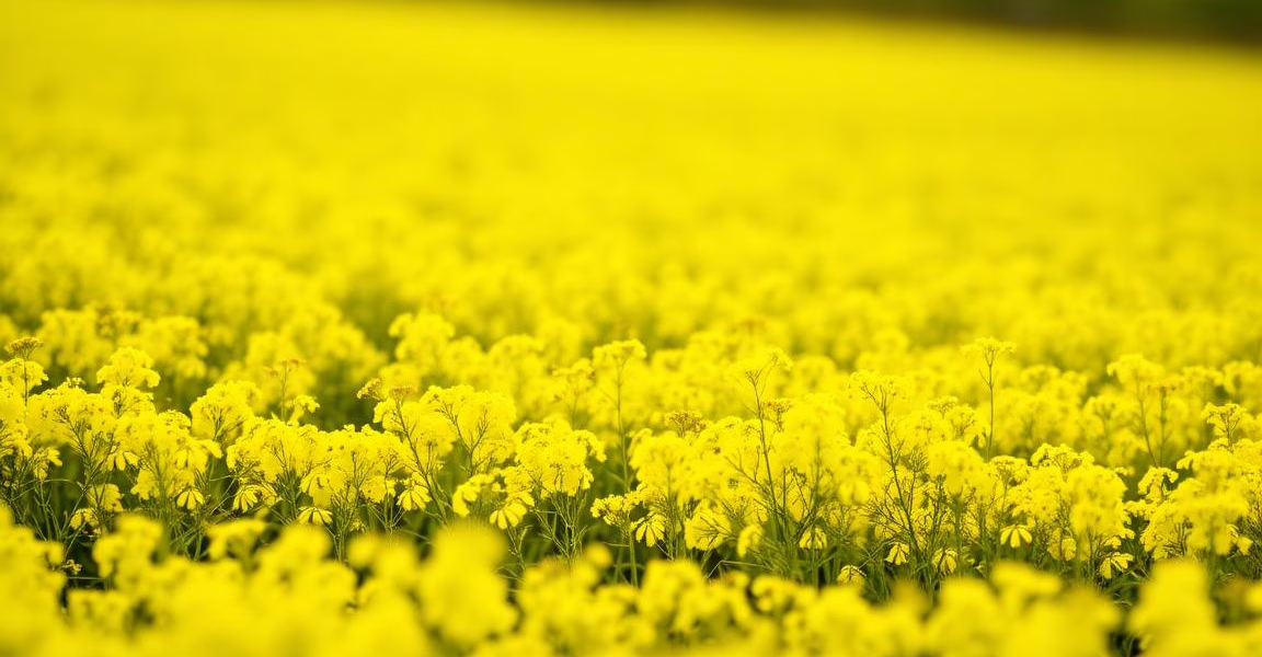 Syngenta’s Withdrawal from Paraquat Production: A Turning Point for Public Health