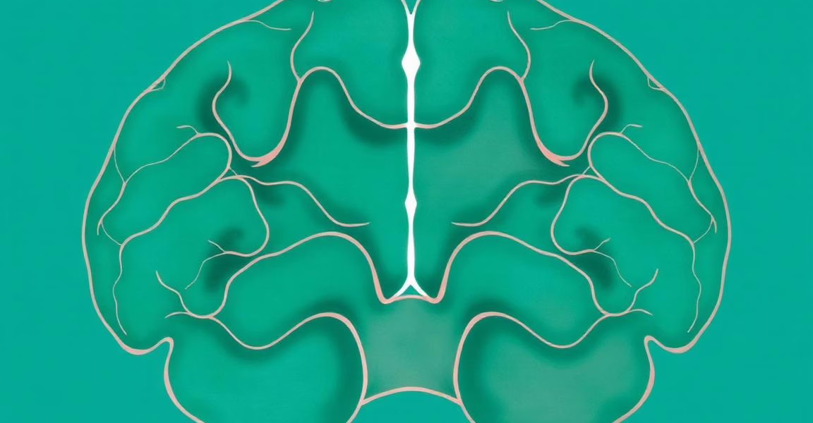 Understanding Cognitive Decline in Pituitary Tumor Patients: The Role of Gut–Brain Axis