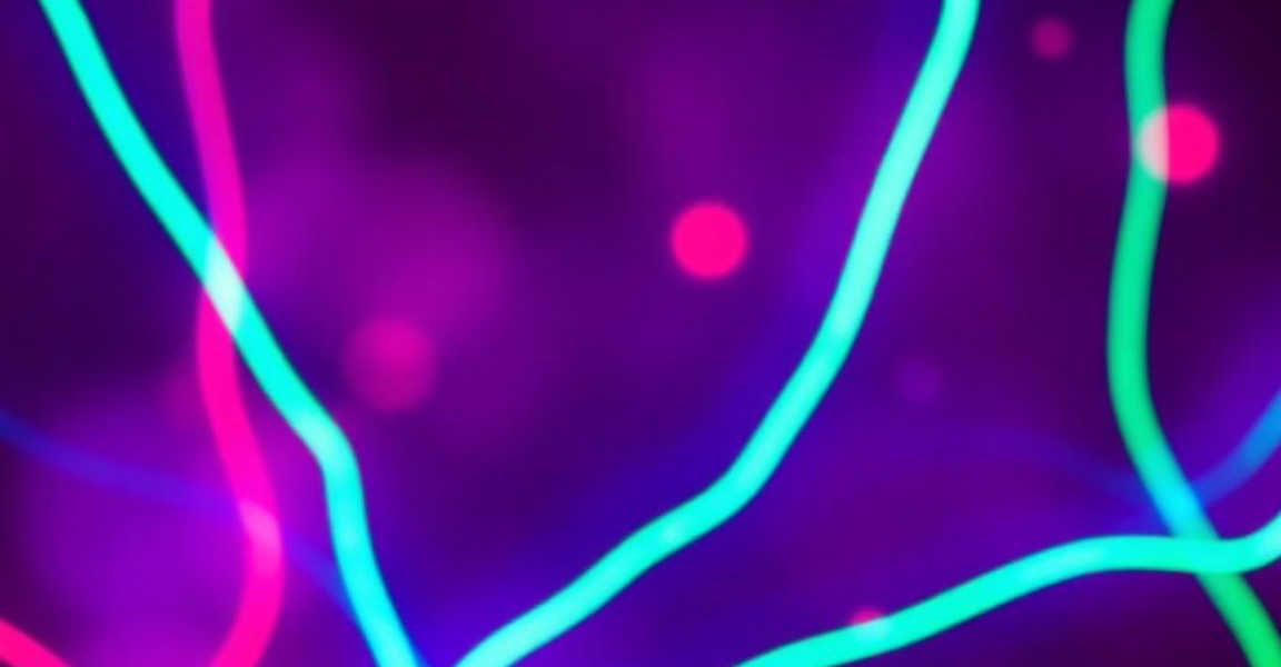 Harnessing Postbiotics for PCOS Management: A New Frontier