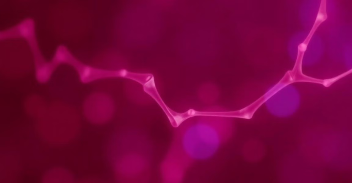 Blood Biomarkers: A New Frontier in Alzheimer’s Prediction