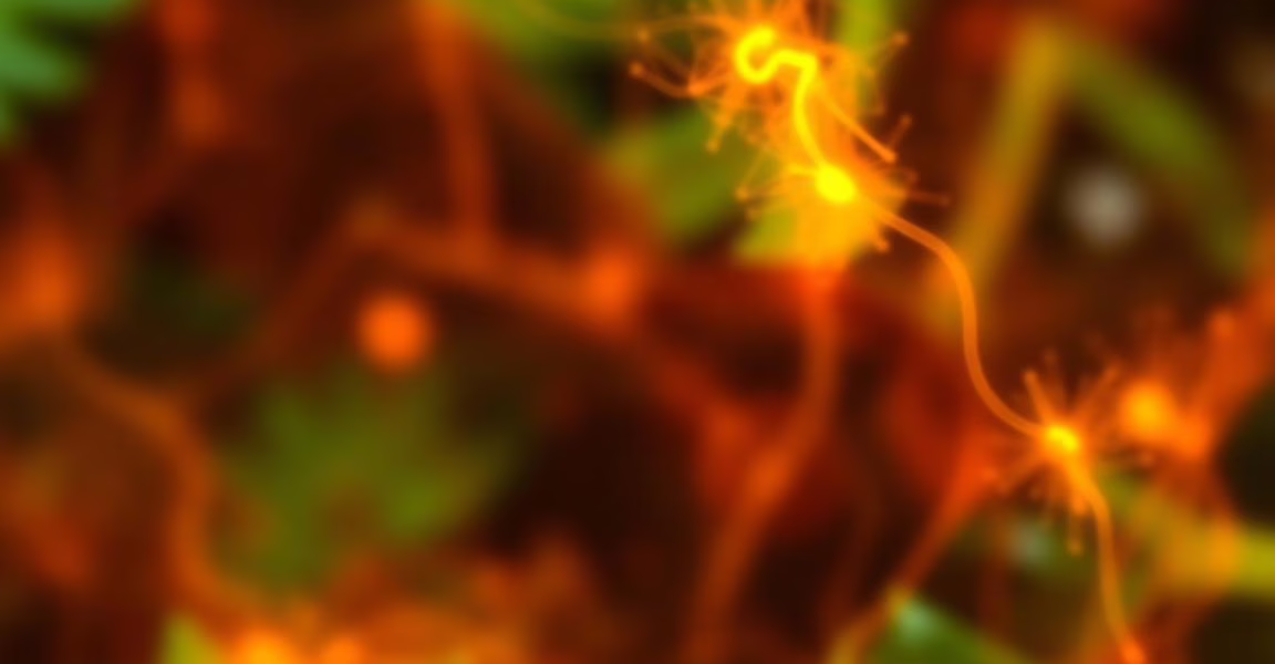 Pacific Biosciences: A Key Player in the Trillion Gene Atlas Initiative