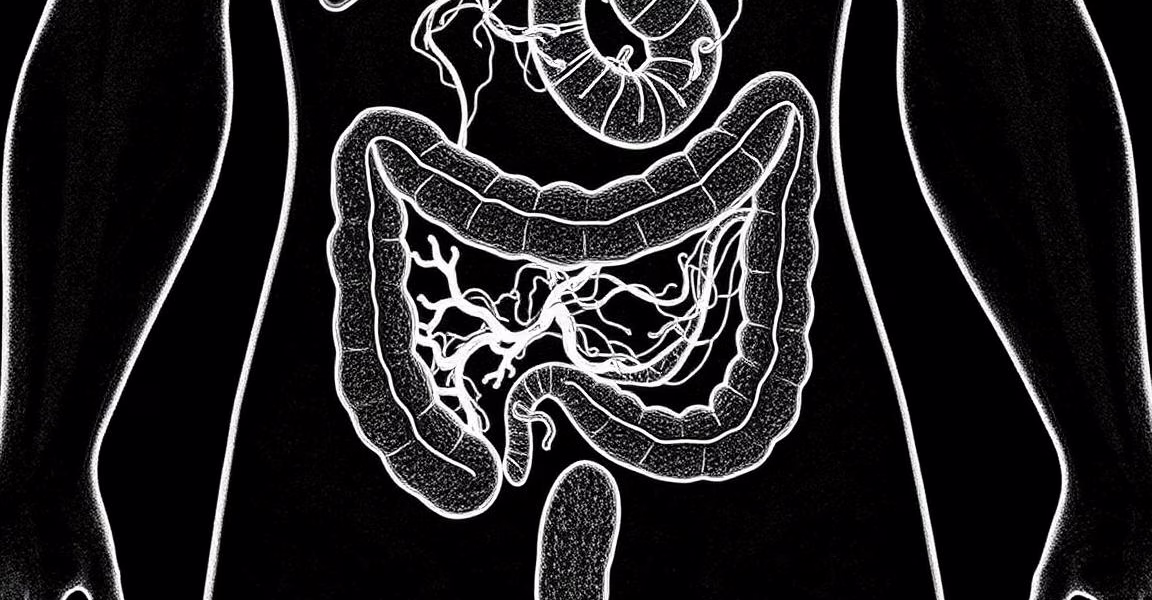 Chronic Inflammation’s Lasting Impact on Gut Stem Cells and Colorectal Cancer Risk