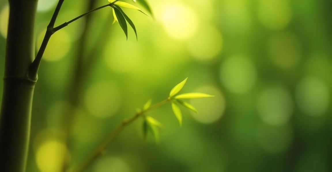 Bambusa Therapeutics Presented Positive Results from the Phase 1 Multiple Ascending Dose Trial of BBT001 at the 2026 American Academy of Dermatology (AAD) Annual Meeting