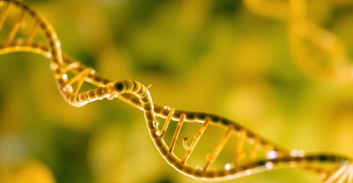 Advances in Gene Therapy for Neovascular Macular Degeneration