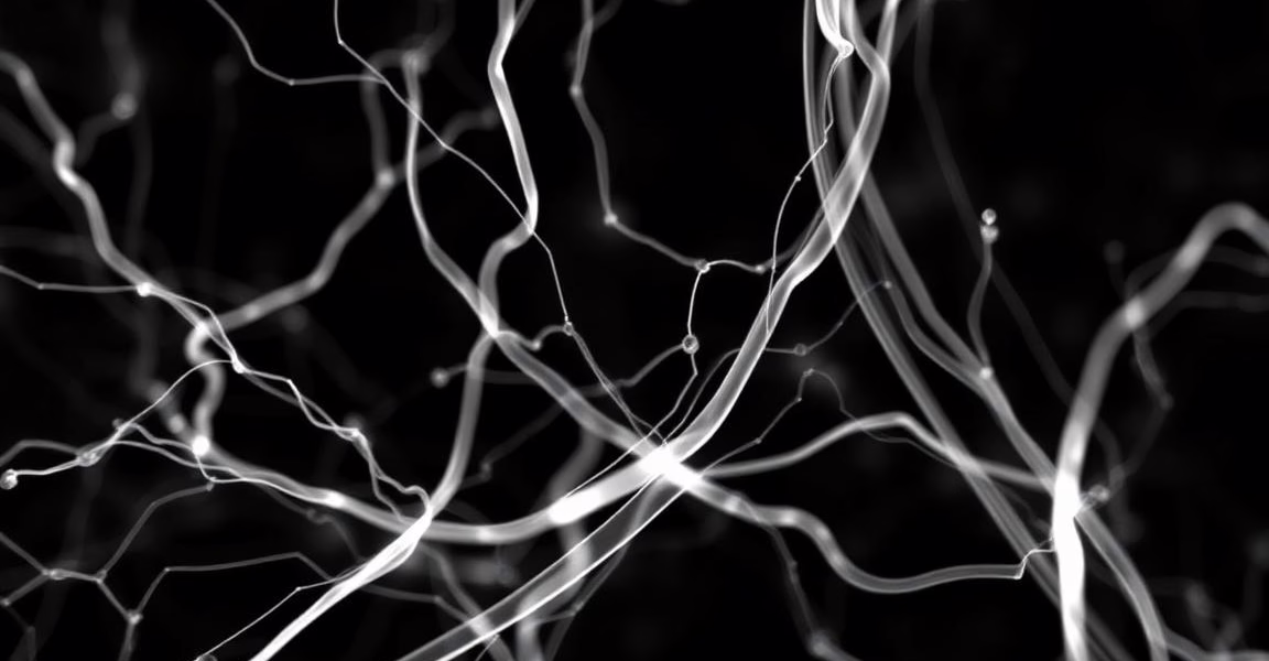 Advancing Parkinson’s Research: Collaboration Between Michael J. Fox Foundation and Biognosys