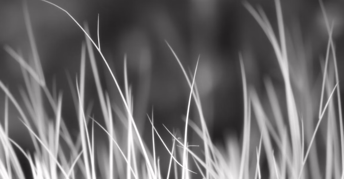 Top 5 Defensive Stocks for Savvy Investors Today