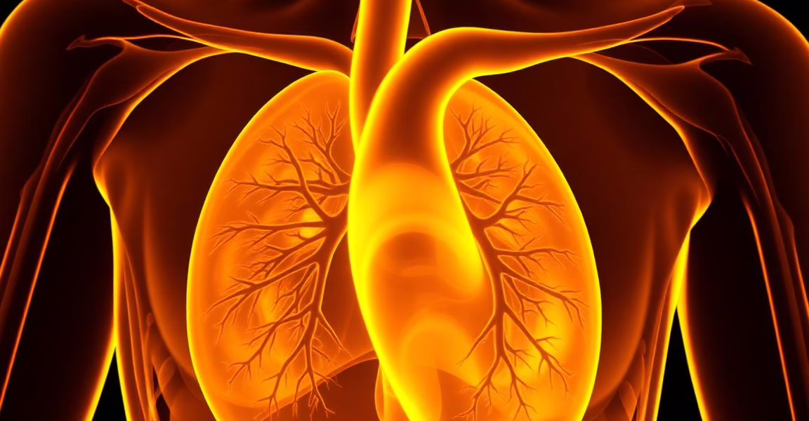 Predicting HFpEF Risk with Epicardial Fat Index through MRI