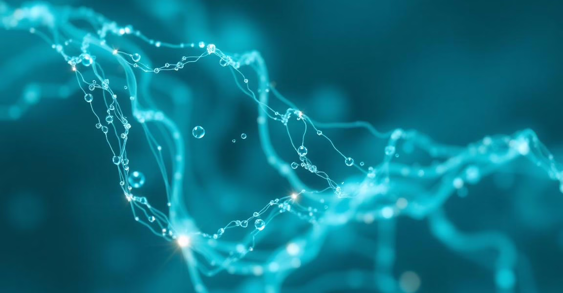 Immutep Limited Achieves Orphan Drug Designation for Efti in Soft Tissue Sarcoma