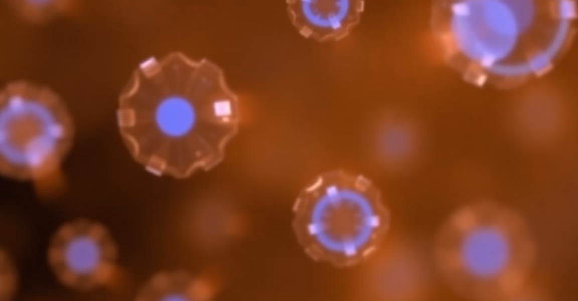 Dual Antibody Strategy Enhances Cancer Drug Delivery